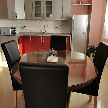 Apartment Alena 1 I 2 Bibinje Exterior photo